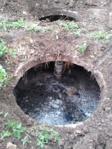 Septic system inspections