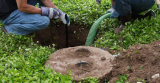 Can my home inspector perform a septic inspection?